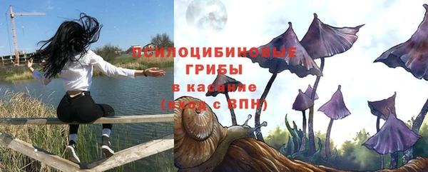 спиды Белокуриха