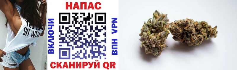 kraken как зайти Саяногорск Конопля SATIVA & INDICA где купить наркотик